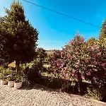 Dom wakacyjny Adelaide