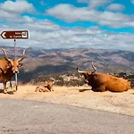 Adelaide Dom wakacyjny Campos (Vieira do Minho, Braga)