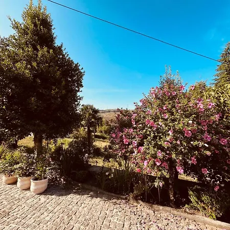 Hébergement de vacances Adelaide