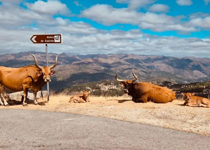 Adelaide Prázdninový dům Campos (Vieira do Minho, Braga)